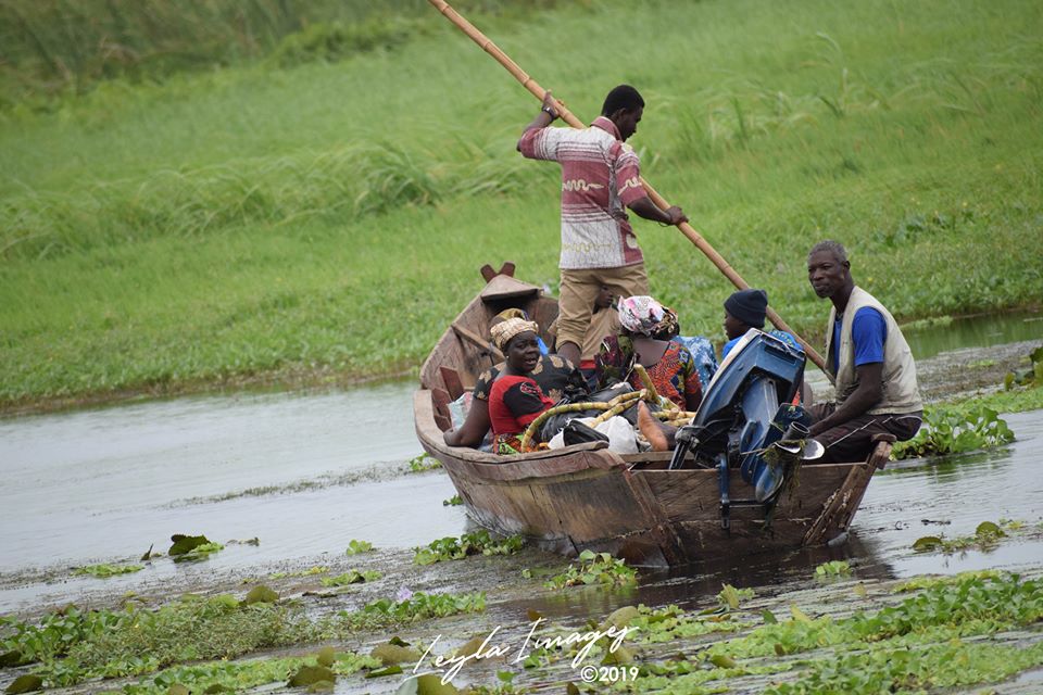 Photos: Aquatic Weeds Pose Danger to Volta River at Kpong, VRA yet to Act despite Complaints