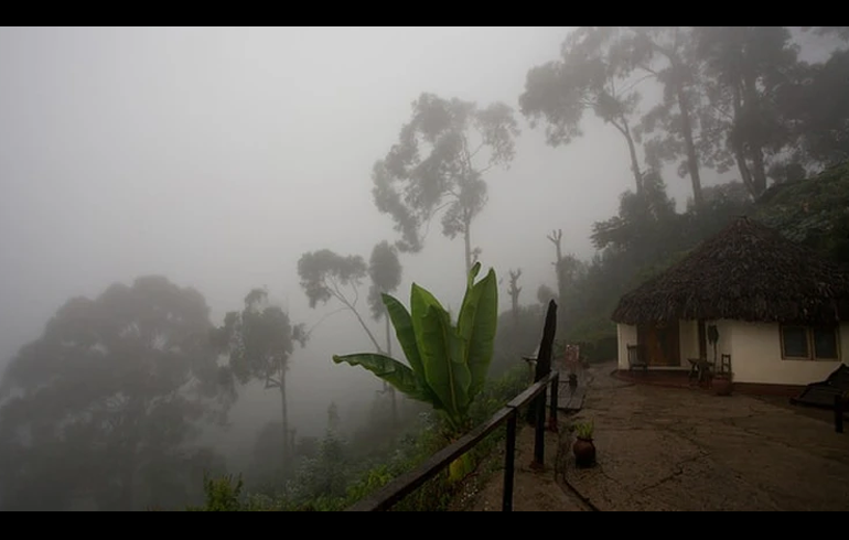 Health Tips For Parents During This Harmattan Season