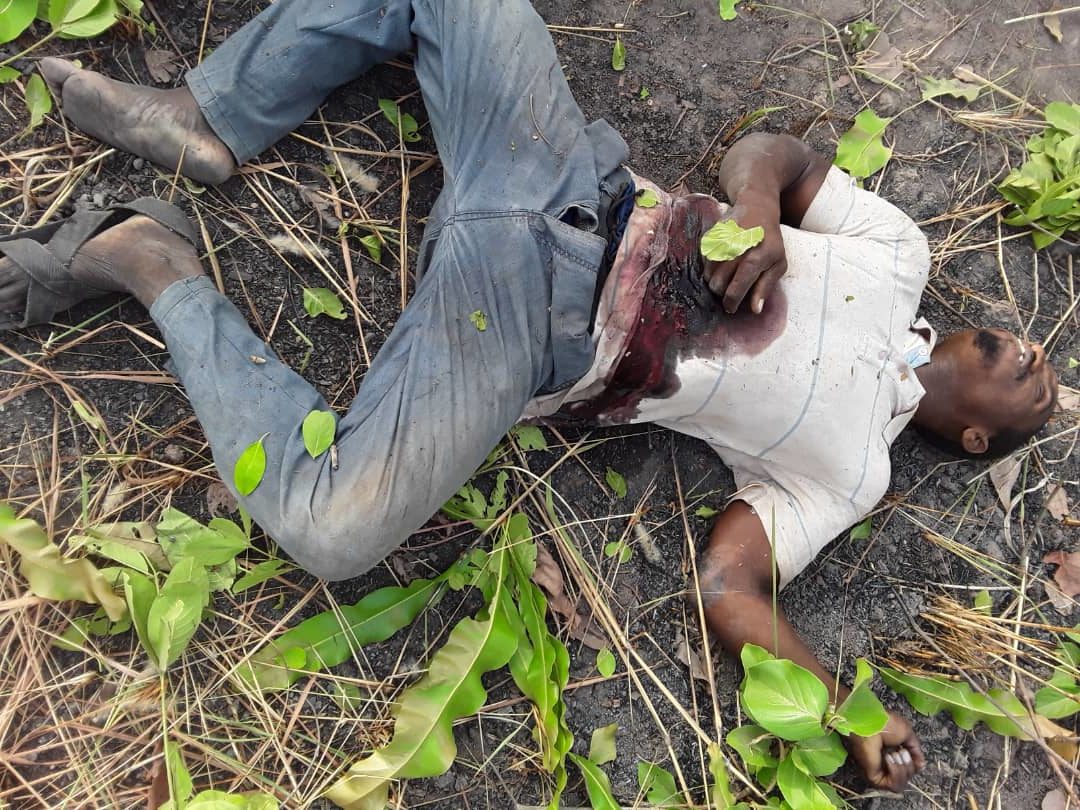 Afram Plains: Herdsman Shoots Farmer Dead For Attempting To Arrest Him