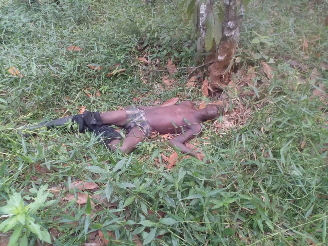 Kwahu: Bushfire Kills Farmer at Kwahu in his Farm