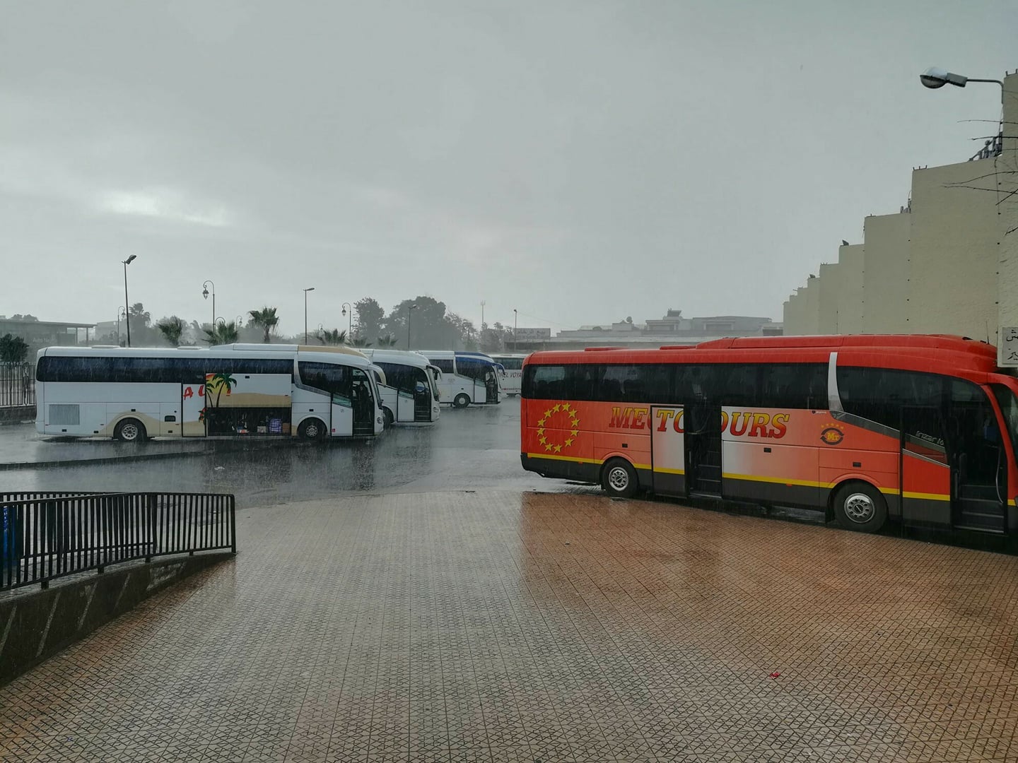 Morocco Suspends Public Transport