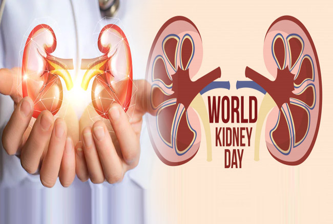 Today is World Kidney Day