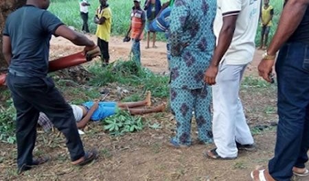 Sad: Class 4 Pupil Dies After Falling From Mango Tree, Grandmother Crashed By Tricycle Whilst In Rush