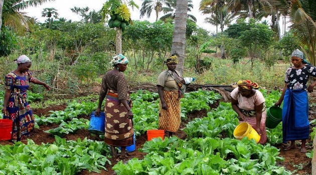 Agric Slips Again Despite PFJ Intervention