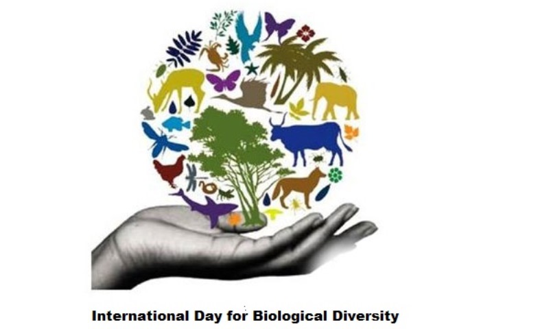 Today Is International Day for Biological Diversity