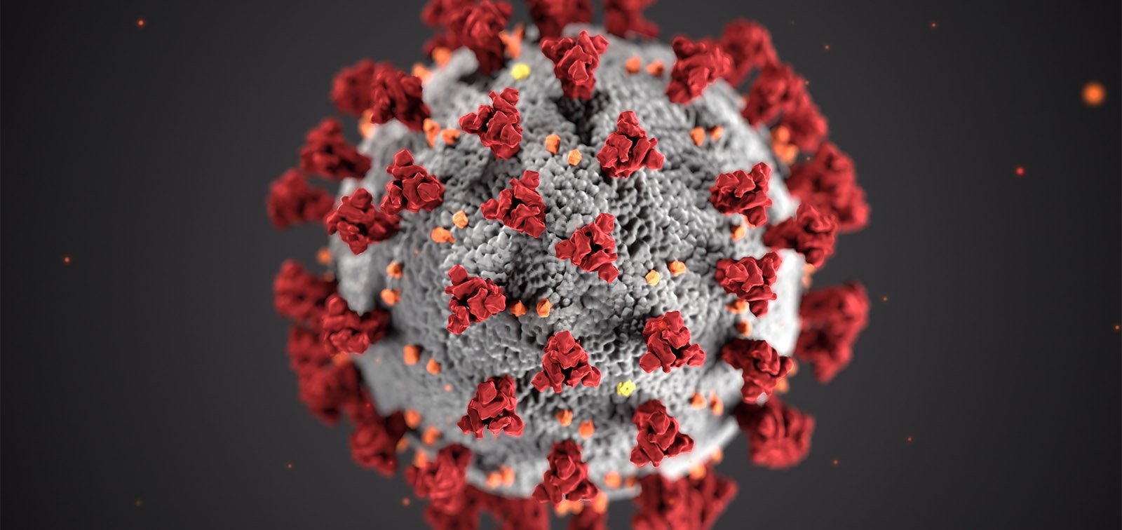 83% of Coronavirus Cases Recorded In E/R Are Males