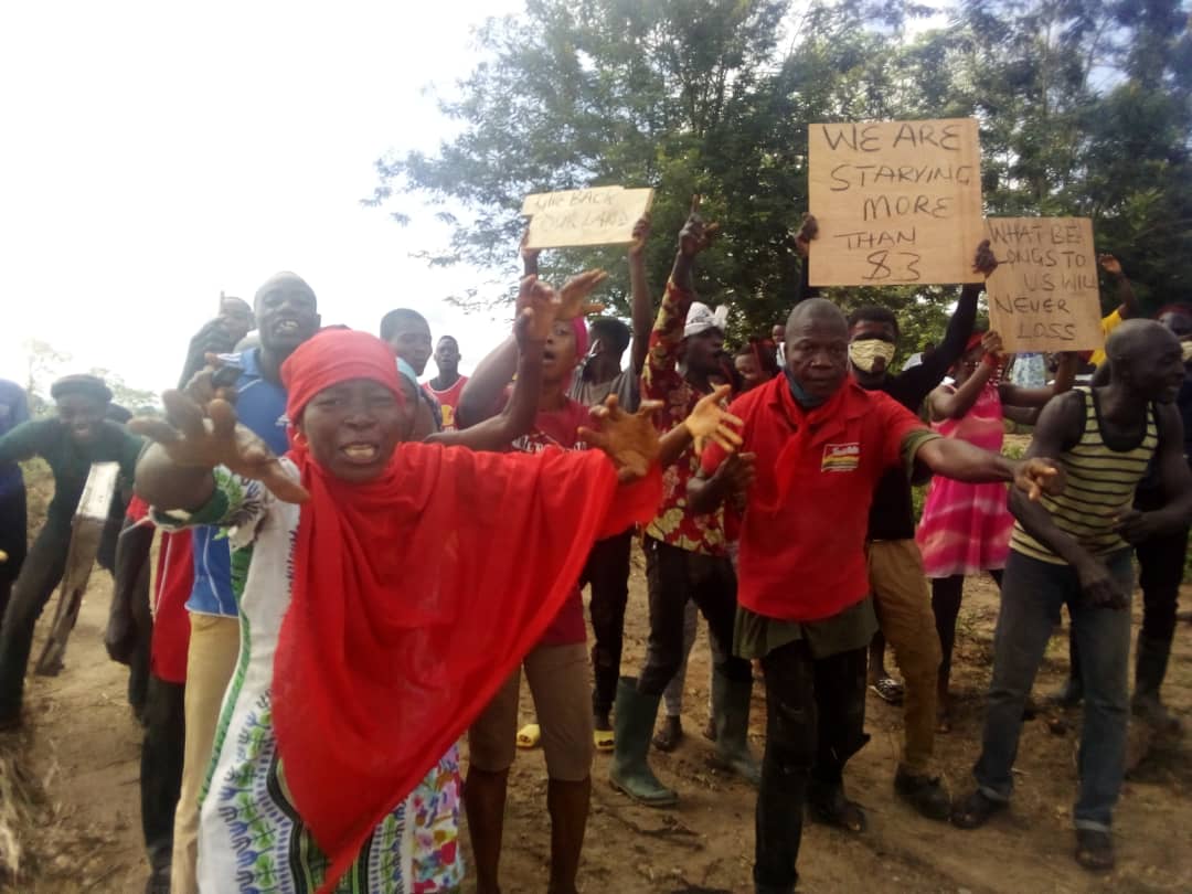 Angry Farmers in Upper West Akyem Defy COVID-19 Restrictions to Demonstrate over Destruction of Crops