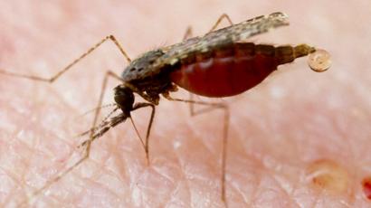 Asamankese Hospital Records 22,631 OPD Malaria Cases in Kids Ward