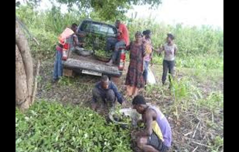 Open The Land Borders Now - Mahama To Gov't