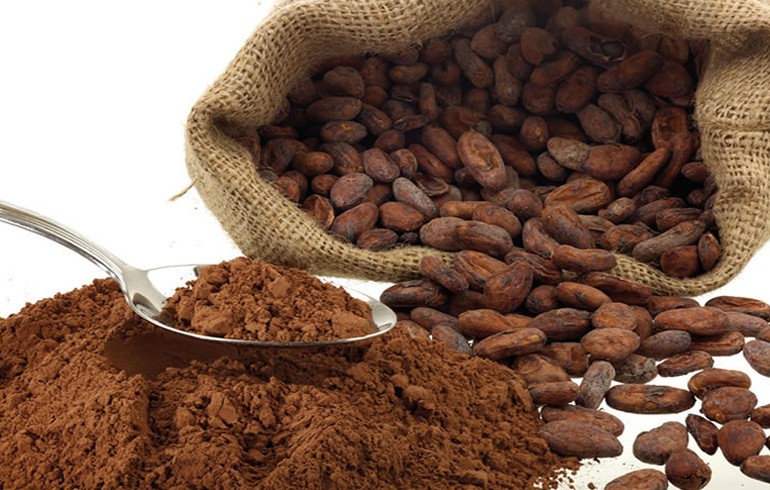 Cocoa Products Prevent Cardiovascular Diseases - Chief Pharmacist Reveals