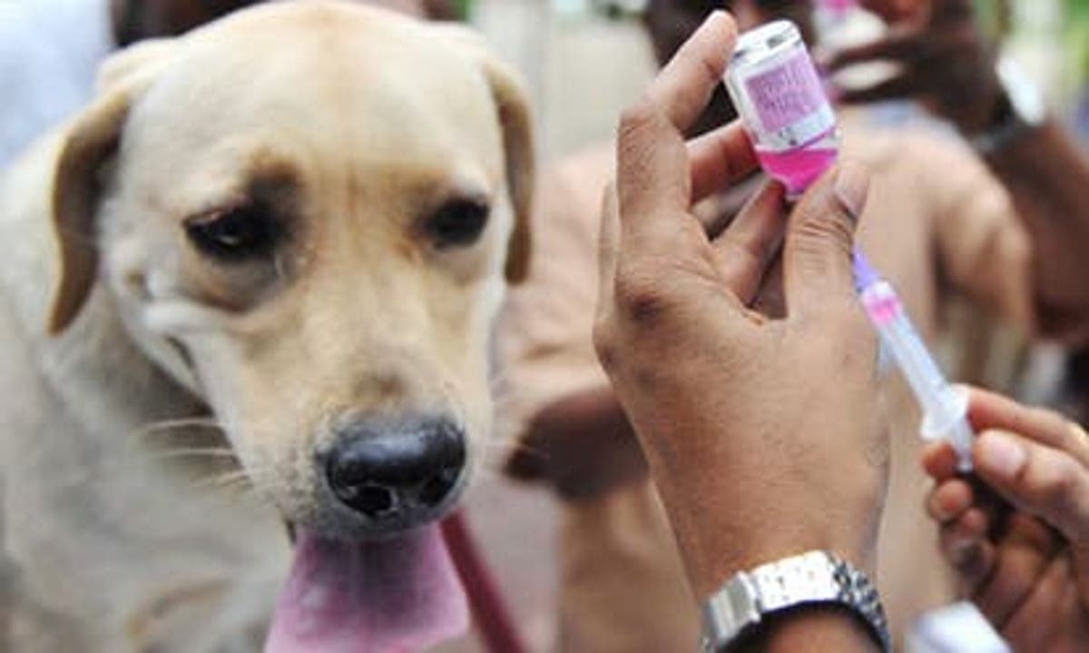 Ghana Commemorates World Rabies Day Today