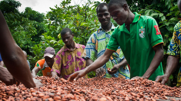 A/R:“We Are Grateful To Gov't For Cocoa Price Increment, But Needs Upward Adjustment”- Mpasatia Zongohene