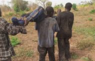 Afram Plains: Fulani Herdsman Killed In Cold Blood, Wife Injured