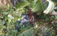 Driver Murdered in Koforidua, Taxi Stolen