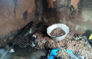 Afram Plains: Fire Guts House, Consumes 2 Bags of Groundnuts, a Bag of Pepper other Items