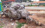 Zambian Sculptor on Hunger Strike over Destroyed Art