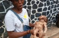 Decomposing Body of 6 Month-old-Baby Found in Toilet in Sefwi Bekwai