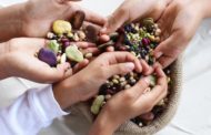 Today is World Pulses Day