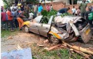 E/R: Inexperience Driver Crashes Taxi into Tree, Two Dead
