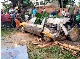 E/R: Inexperience Driver Crashes Taxi into Tree, Two Dead