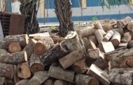 Breaking News: Inmate of Koforidua Prison in Critical Condition after Sustaining Injury while Working as a Laborer