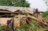 E/R: NCCE Staff Escape Death after Falling tree Crushed Their Office