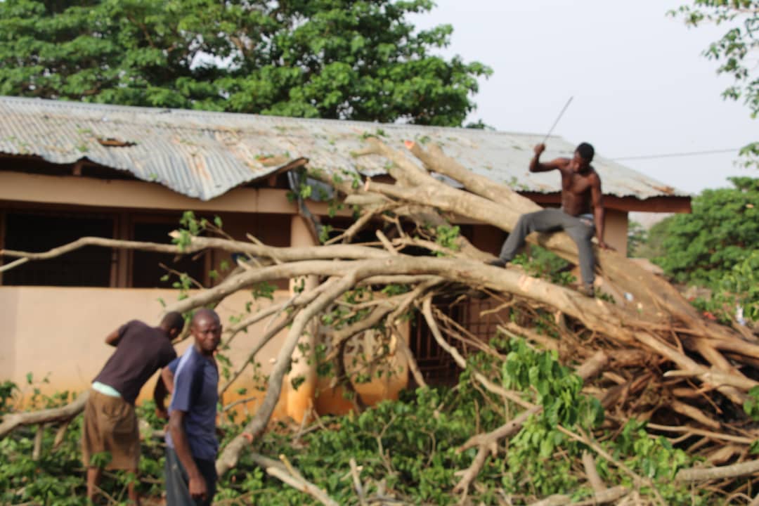 E/R: NCCE Staff Escape Death after Falling tree Crushed Their Office