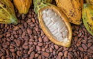 U/E:Security Agencies Resolve Dispute Over Smuggled Cocoa At Missiga Checkpoint, As Police Debunk Complicity