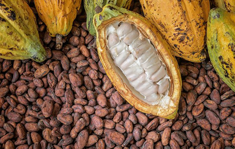 Cocoa Sector Expected To Gain In 2021-Osei Kyei Mensah Bonsu