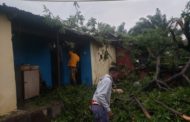 E/R: One Person Injured After Falling Tree Crushed Two Houses in Asuogyaman