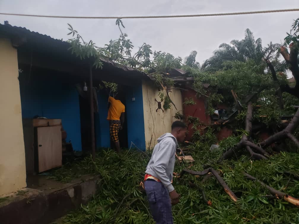 E/R: One Person Injured After Falling Tree Crushed Two Houses in Asuogyaman