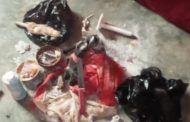 E/R: Private Part of JHS Female Student Decaying After Spiritual Purification, Suspect Arrested