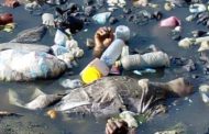 Dead Body Found In An Abandoned Drainage At Amanfrom
