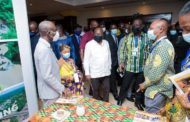 Akufo-Addo Charges Experts to Develop Workable Solutions to Deal with Illegal Mining