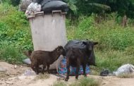Residents in Koforidua Reject MP’s Project, Insist Area Must Serve as Waste Collection Center