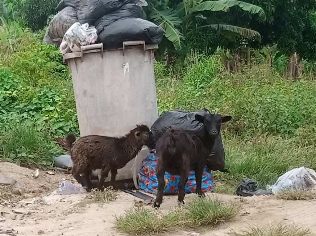 Residents in Koforidua Reject MP’s Project, Insist Area Must Serve as Waste Collection Center