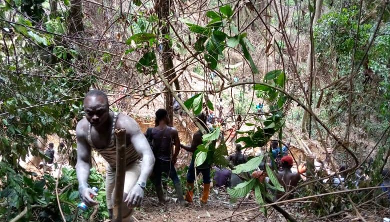 65 Illegal Miners Arrested In Atewa Forest at Akyem Akanteng Area - Forestry Officials