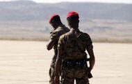 WHO Chief Describes Tigray Situation as 'Horrific'
