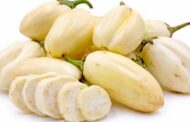 Health Benefits of Garden Egg Are Just Incredible