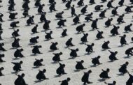 China Martial Arts School Fire Kills 18, Mostly Children