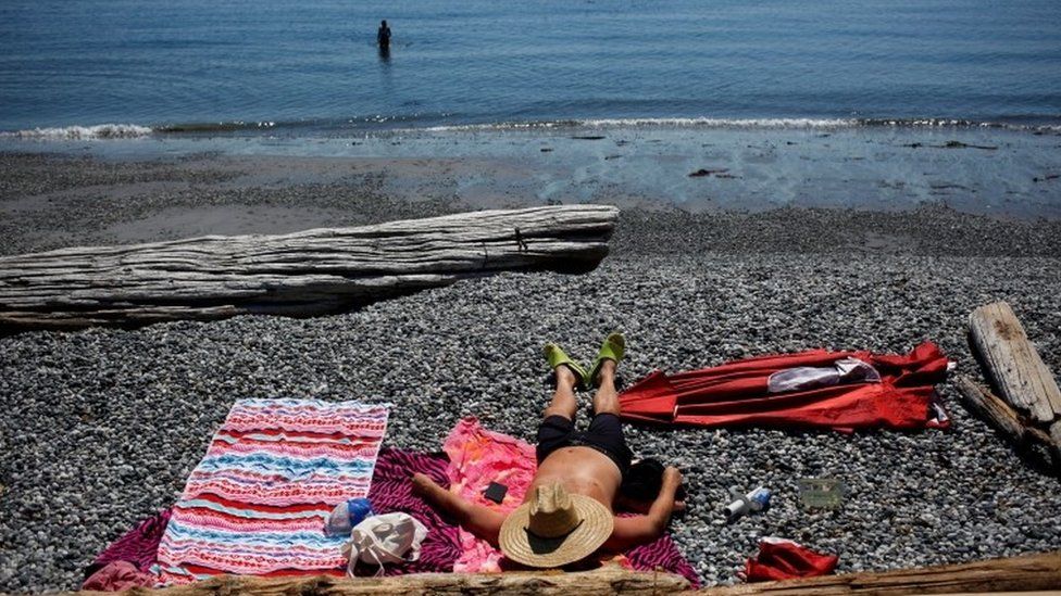 Canada Weather: Dozens Dead As Heatwave Shatters Records