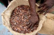 Chocolate Brands May Be Named And Shamed For Poor Pay