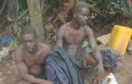 3 Illegal Chainsaw Operators Arrested In Forest Reserve Remanded