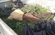 Boy, 9, Crushed to Death by Tipper Truck
