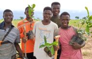 900K Trees to Be Planted In E/R as Ghana goes Green with Green Ghana Project