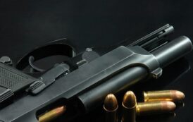 Deputy Director Advocates Strict Screening Before Gun Ownership