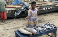 Allow Us to Fish, Open the Borders Now - Dzifa Gomashie to Gov't