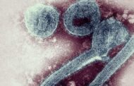 Guinea Confirms West Africa's First Marburg Virus Case