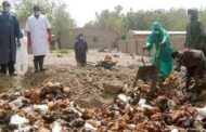 107,704 Bird Flu Affected In Ghana