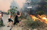Algeria Wildfires Death Toll Rises To 42